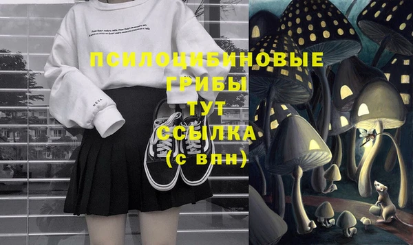 a pvp Армянск