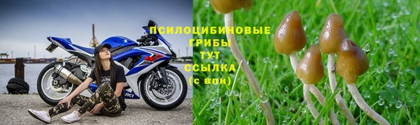 мет Арсеньев
