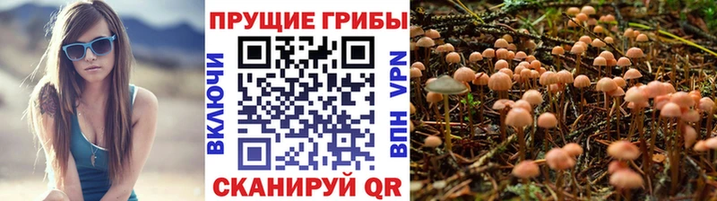 Галлюциногенные грибы GOLDEN TEACHER  мега зеркало  Тында  цена  